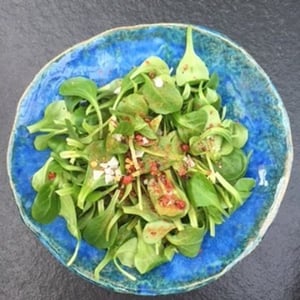 songino-and-chermoula