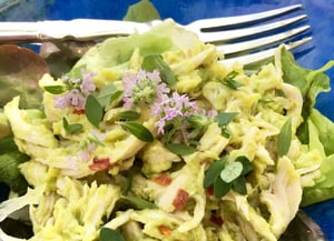 turkey-avocado-and-salad