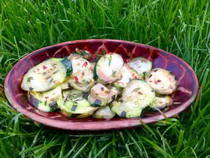courgette-zèbre